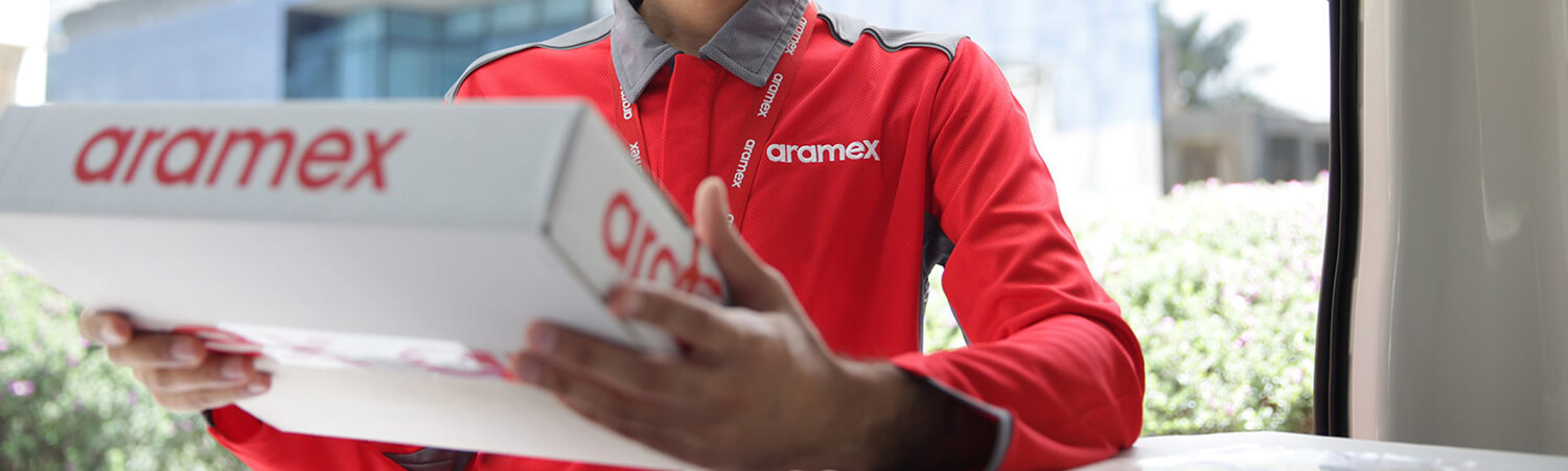 Aramex Web Design, Website Development Banner Image